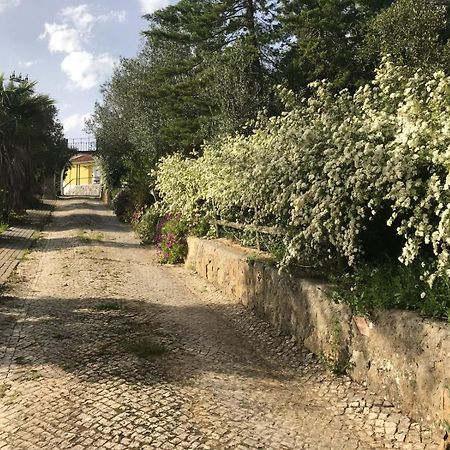 Quinta Dos Canais Setúbal Exterior foto