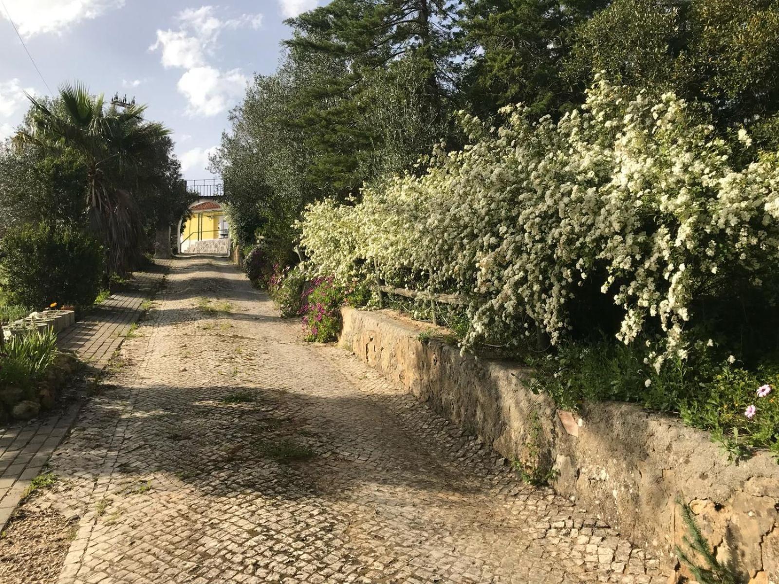 Quinta Dos Canais Setúbal Exterior foto