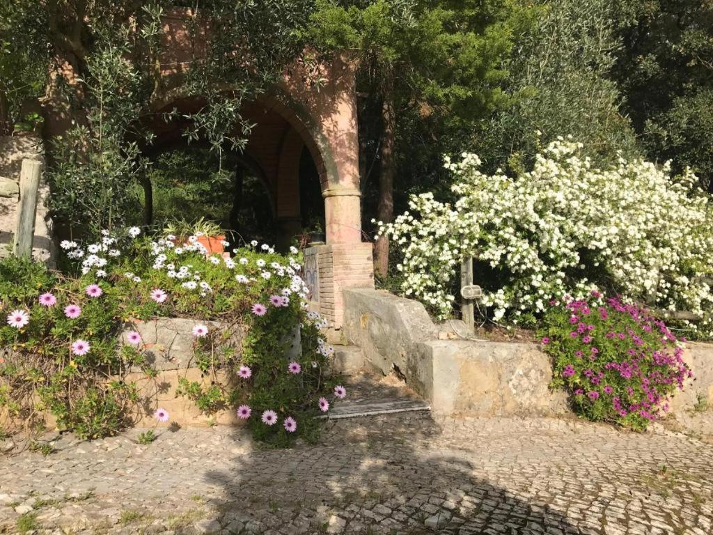 Quinta Dos Canais Setúbal Exterior foto